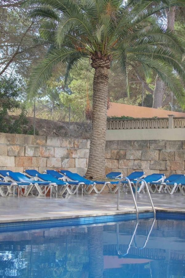 埃尔阿雷纳尔 Elegance Playa Arenal酒店 设施 照片